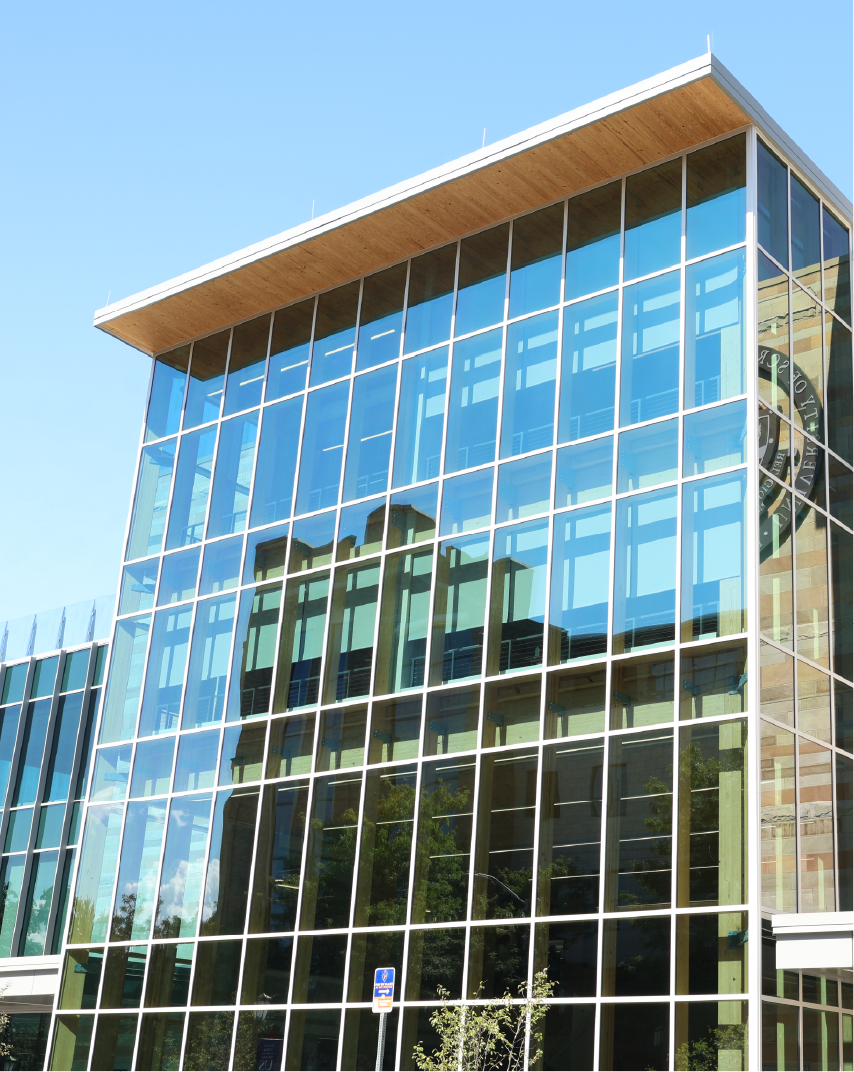 CLT glass-facade building